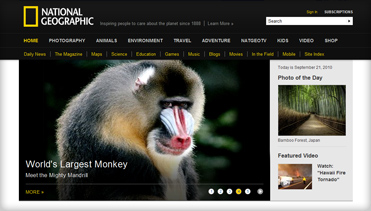 手机号连环呼叫软件